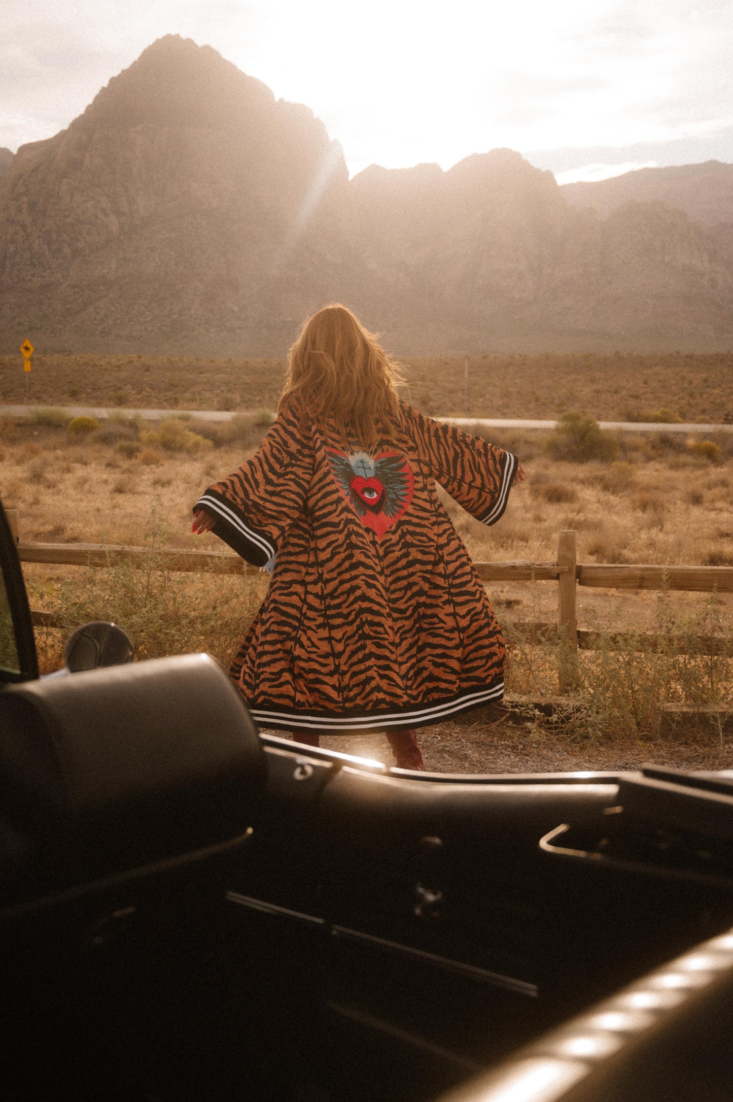 Person standing in a desert landscape with mountains, wearing a patterned coat.
