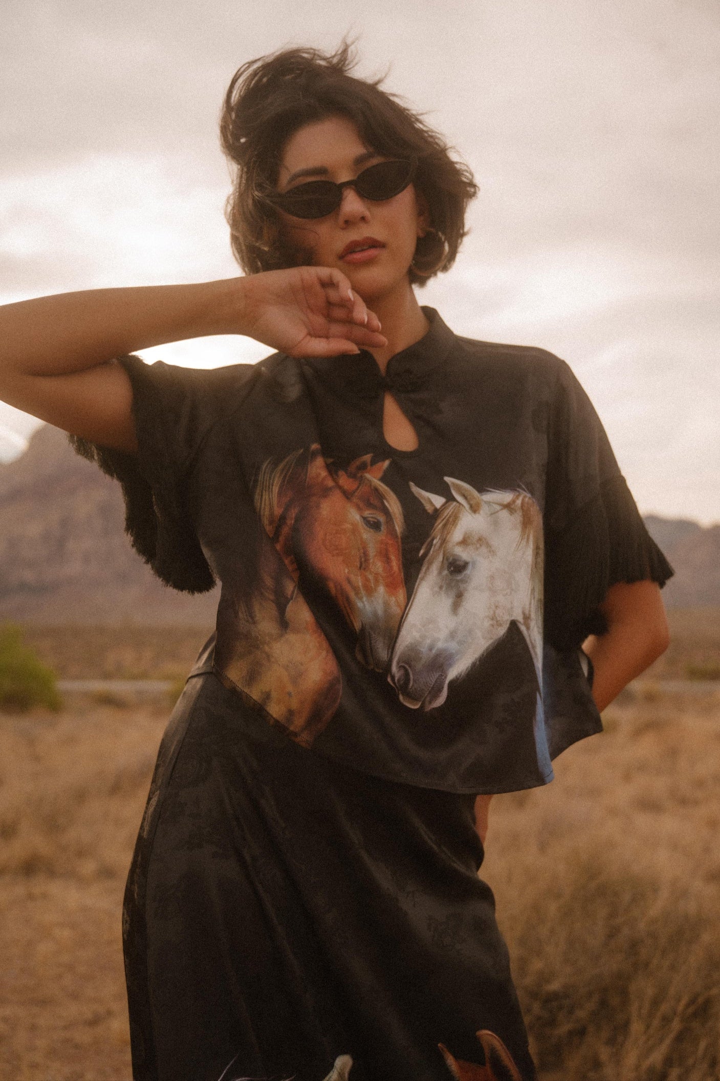 Person wearing a t-shirt with horse design in a desert setting