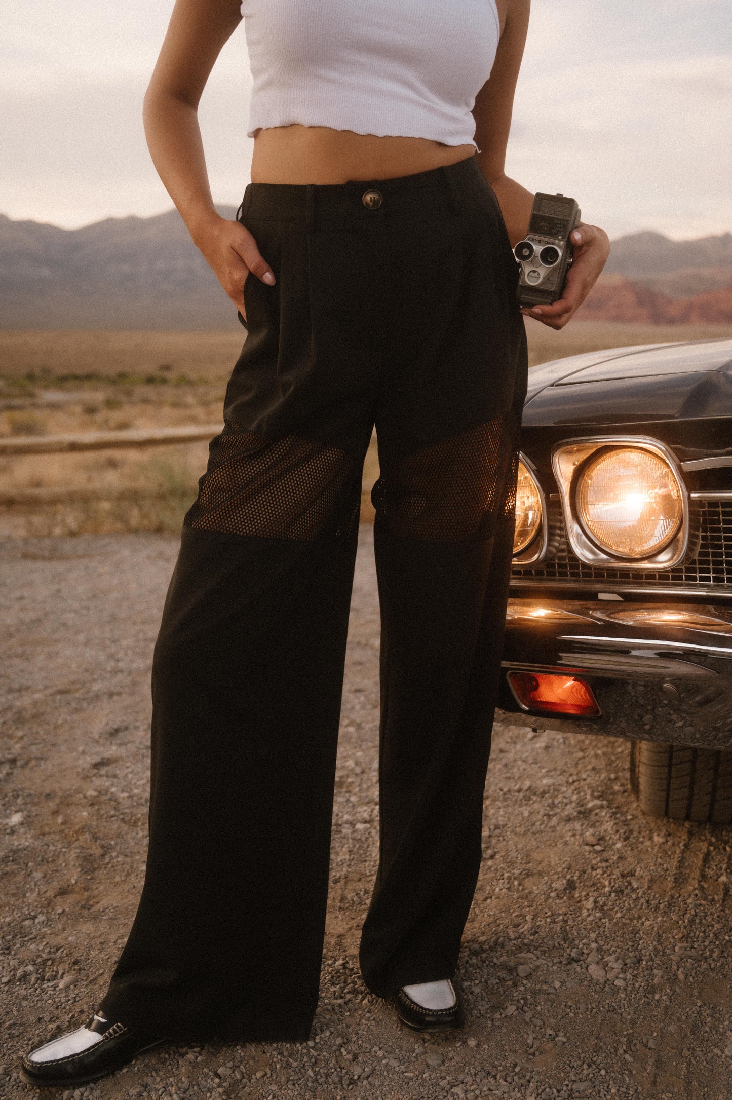 Black Widow Mesh Wide Leg Trousers