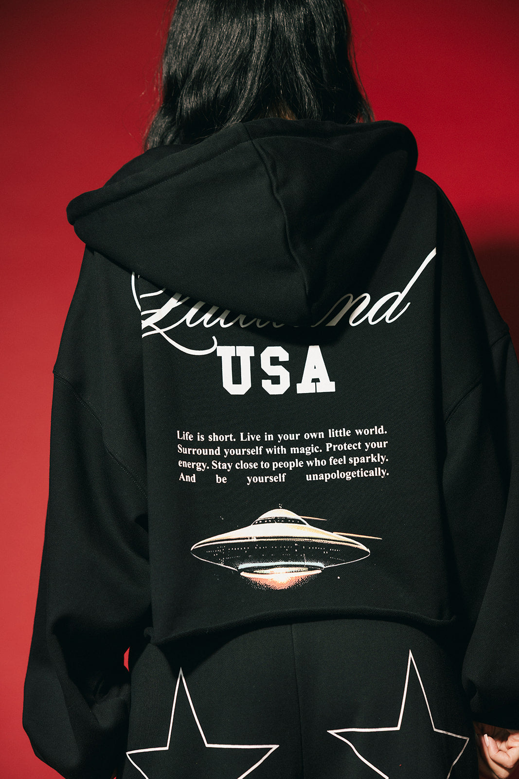 Black hoodie with text and UFO design on the back against a red background