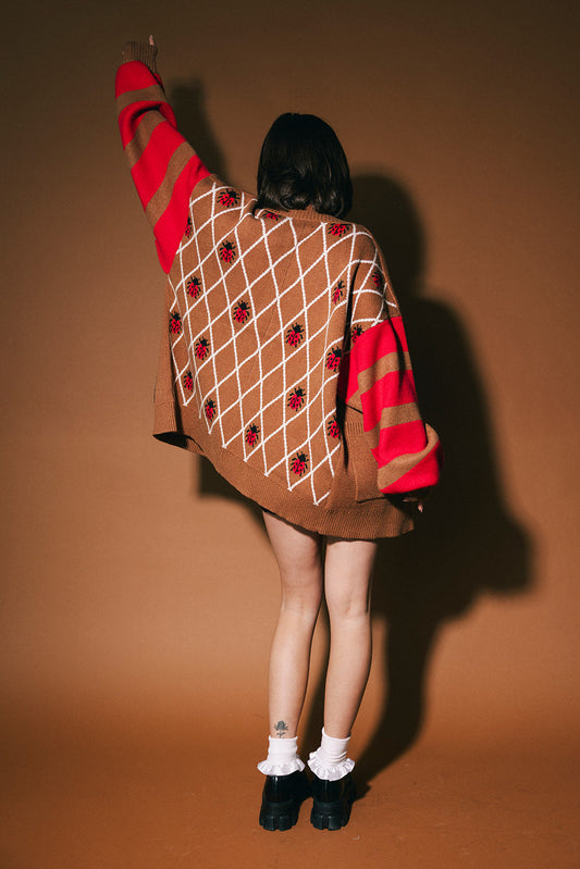 Person wearing a brown cardigan with a grid pattern and ladybugs on the back and red striped sleeves against a brown background