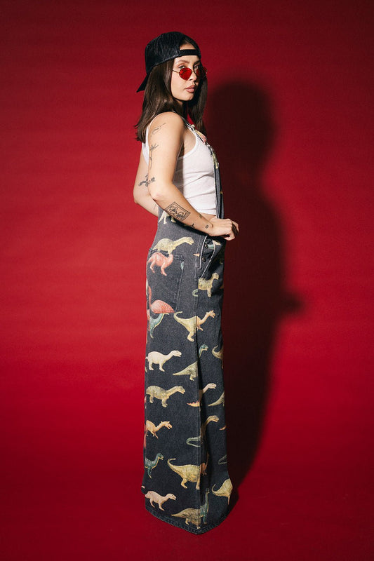 Dino Delirium Wide Leg Workwear Overalls - Dressed in Lala