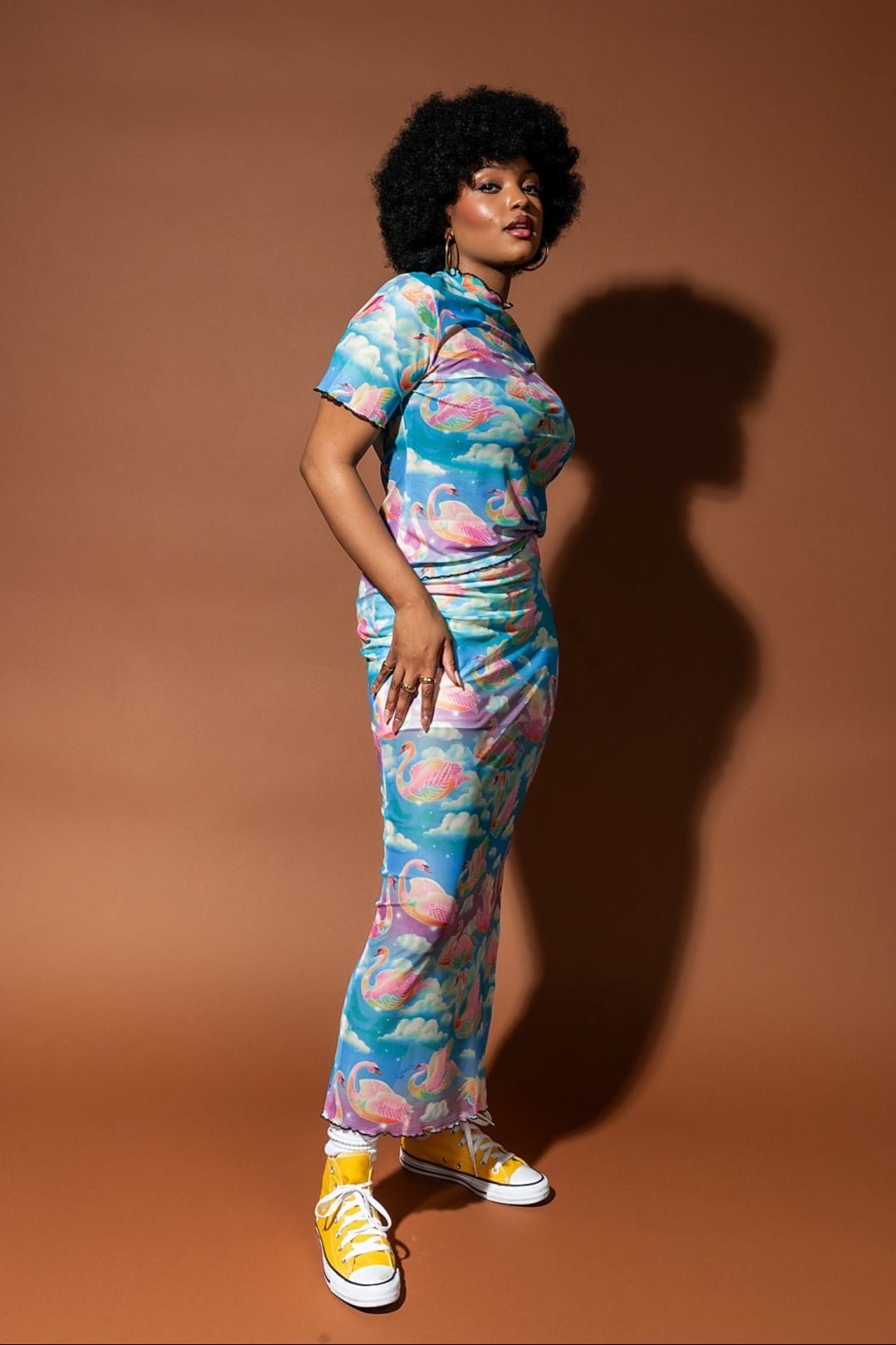 Enchantress Mesh Skirt in Rainbow Swan Rodeo - Dressed in Lala