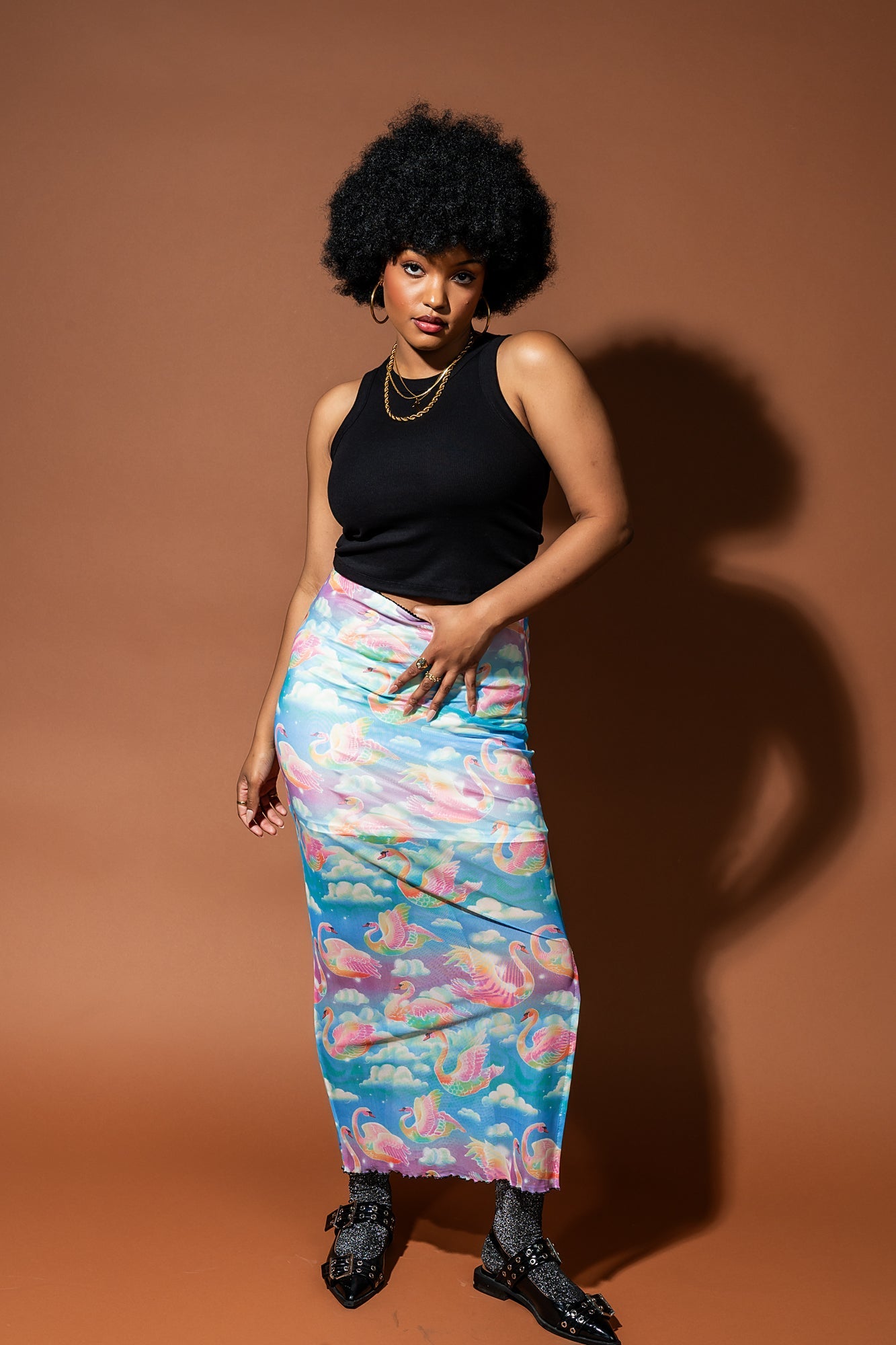 Enchantress Mesh Skirt in Rainbow Swan Rodeo - Dressed in Lala