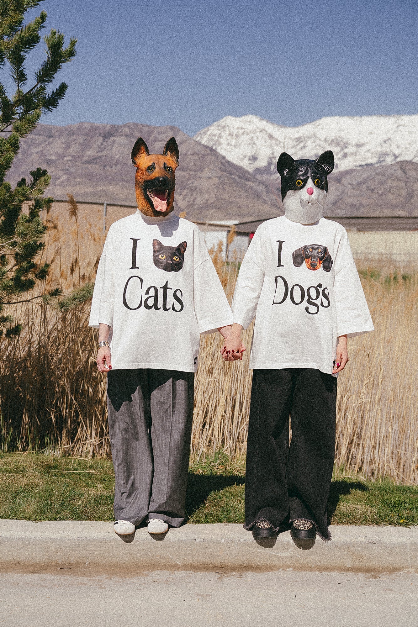 I Love Dogs Heavyweight Cotton Dream Tee - Dressed in Lala