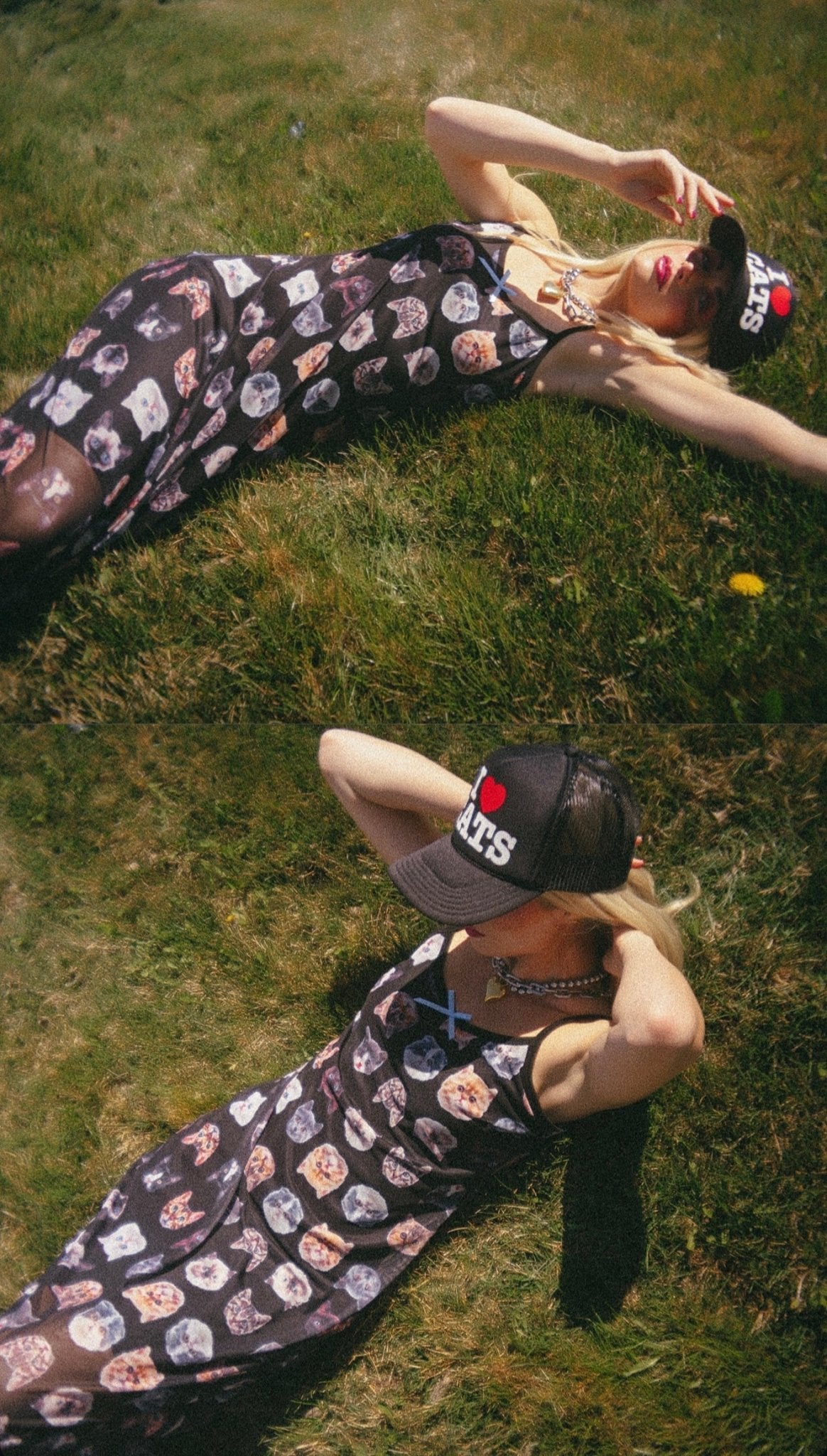 Iconic Behavior Mesh Dress in Cat Couture - Dressed in Lala