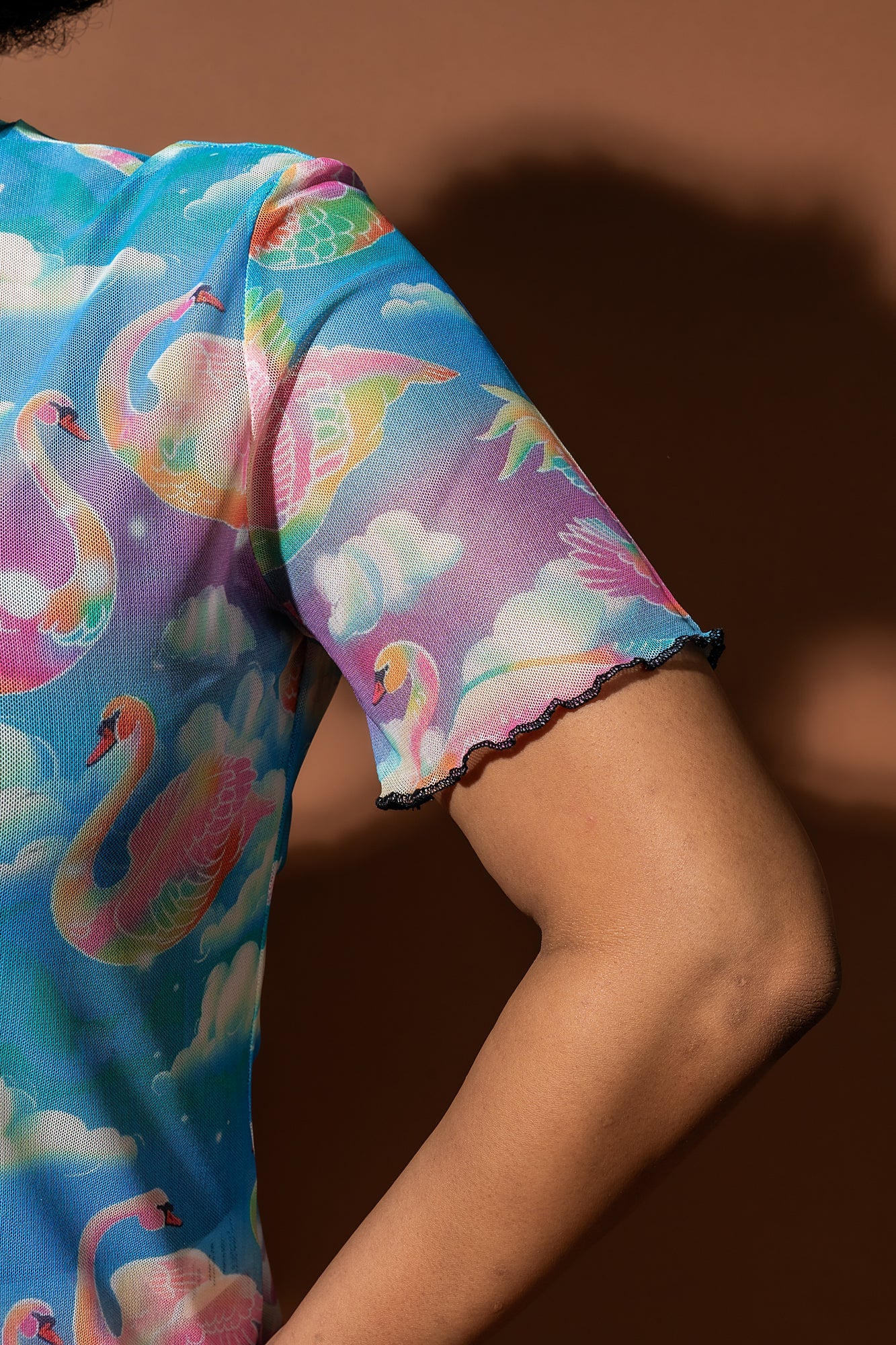 Rainbow Swan Rodeo Short Sleeve Mesh Top - Dressed in Lala