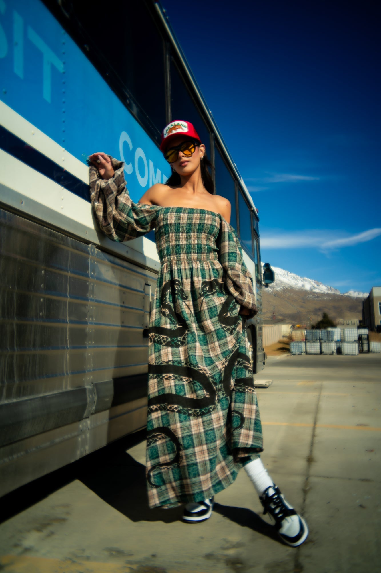 Sweet Revenge Smocked Plaid Snake Dress - Dressed in Lala