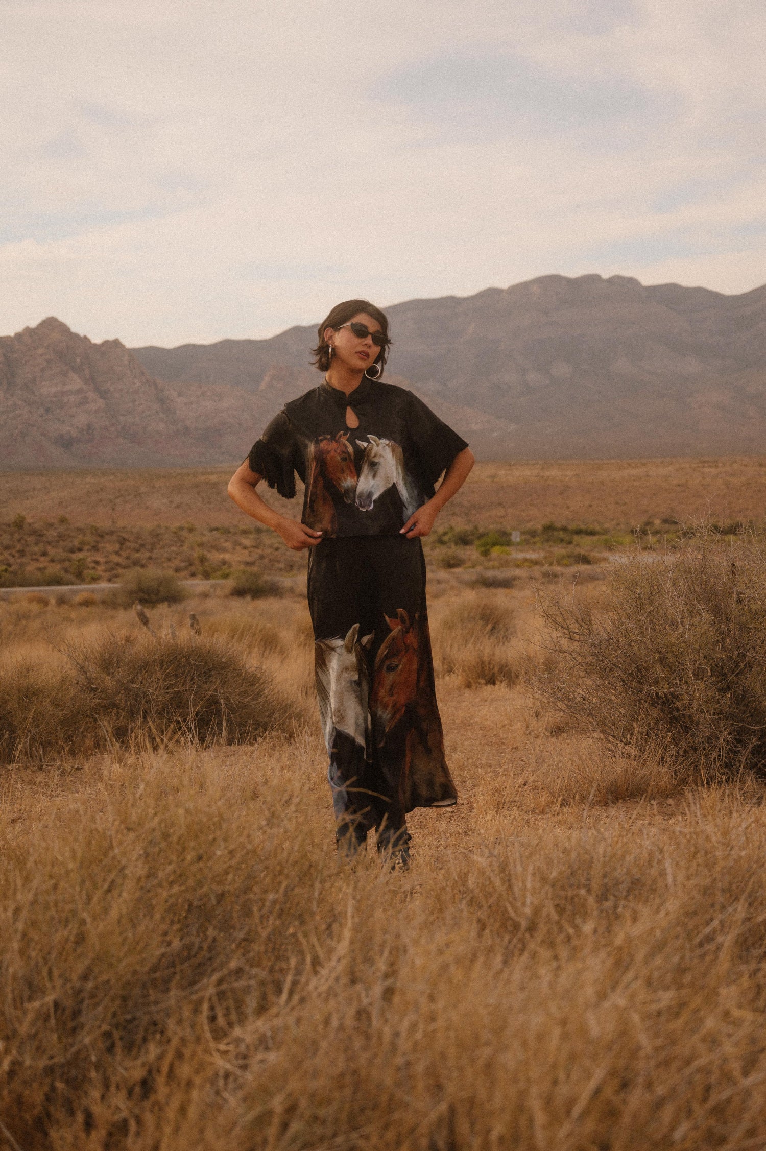 Person standing in a desert landscape with mountains in the background
