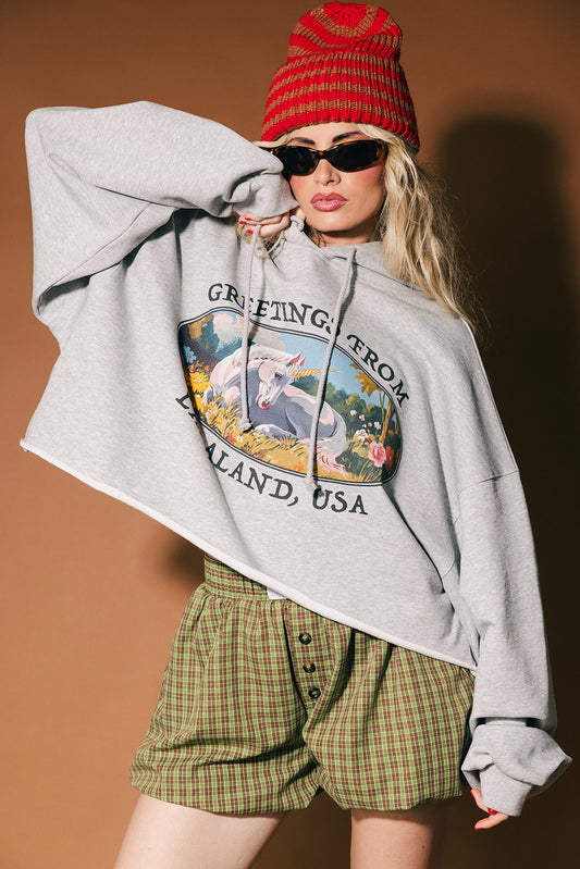 Person wearing a gray hoodie with a graphic design, red beanie, and plaid shorts on a brown background