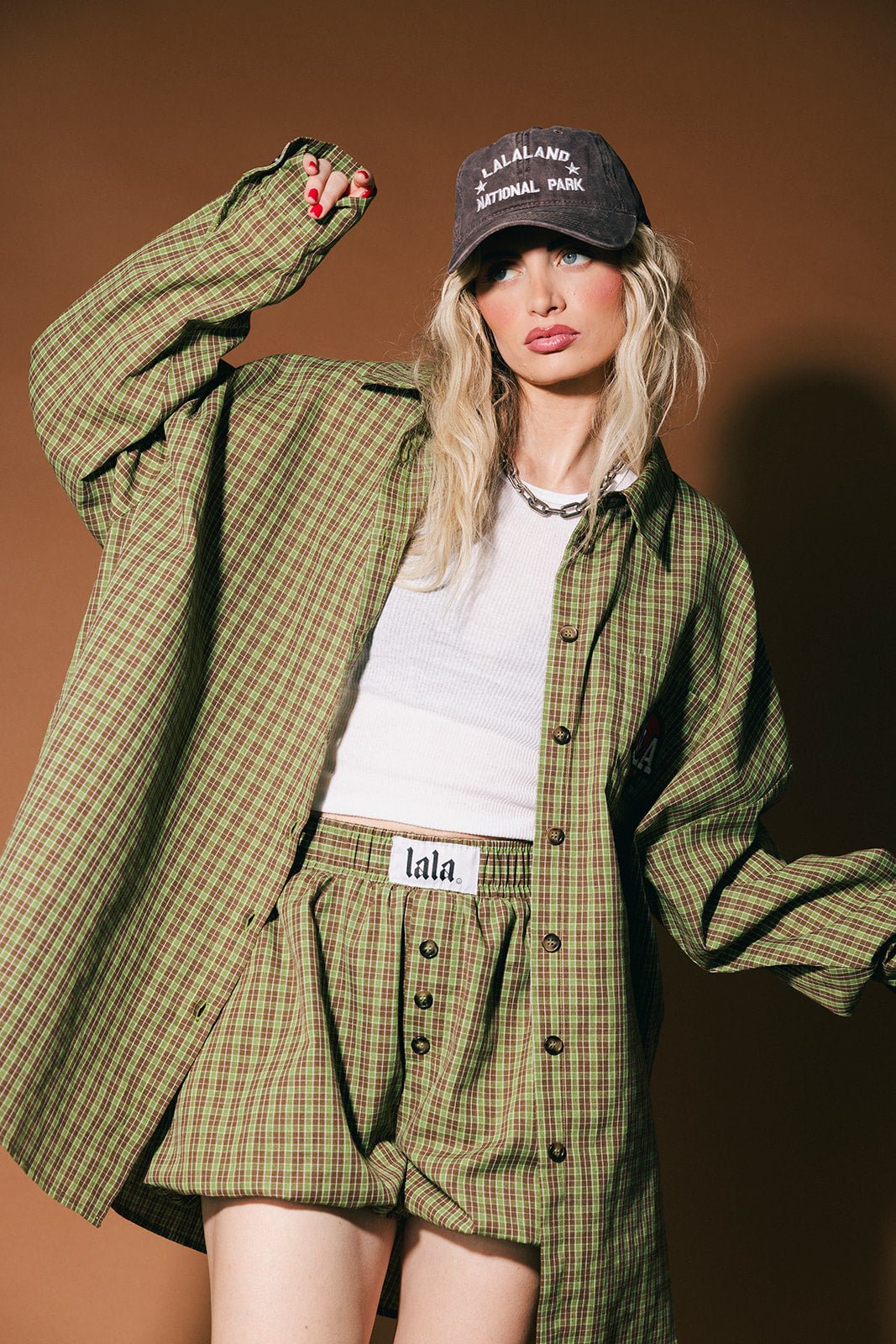 Lalaland National Park Dad Hat - Dressed in Lala