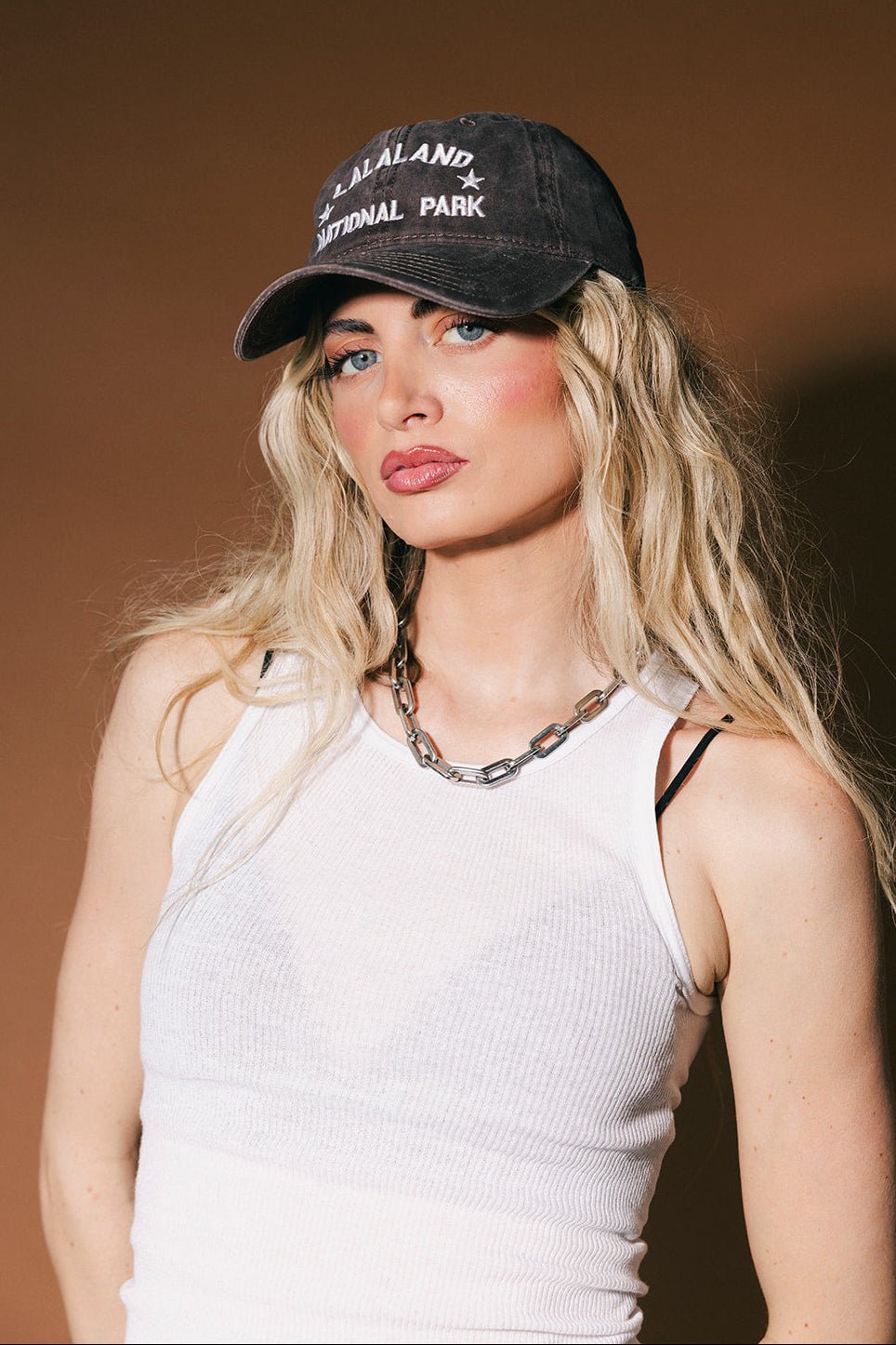 Lalaland National Park Dad Hat - Dressed in Lala