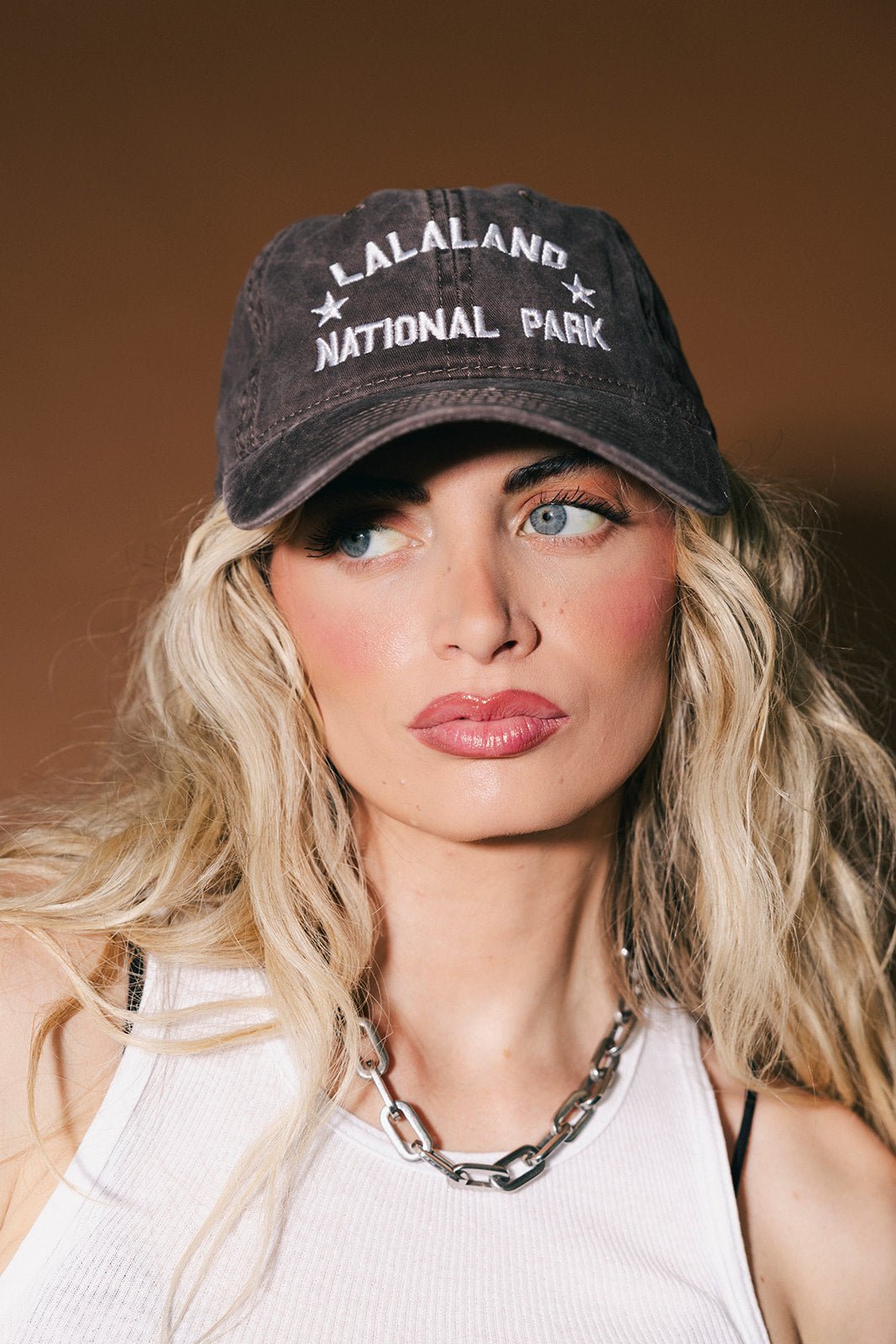 Lalaland National Park Dad Hat - Dressed in Lala
