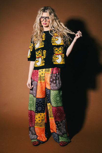 Person wearing a patterned sweater and colorful pants against a brown background