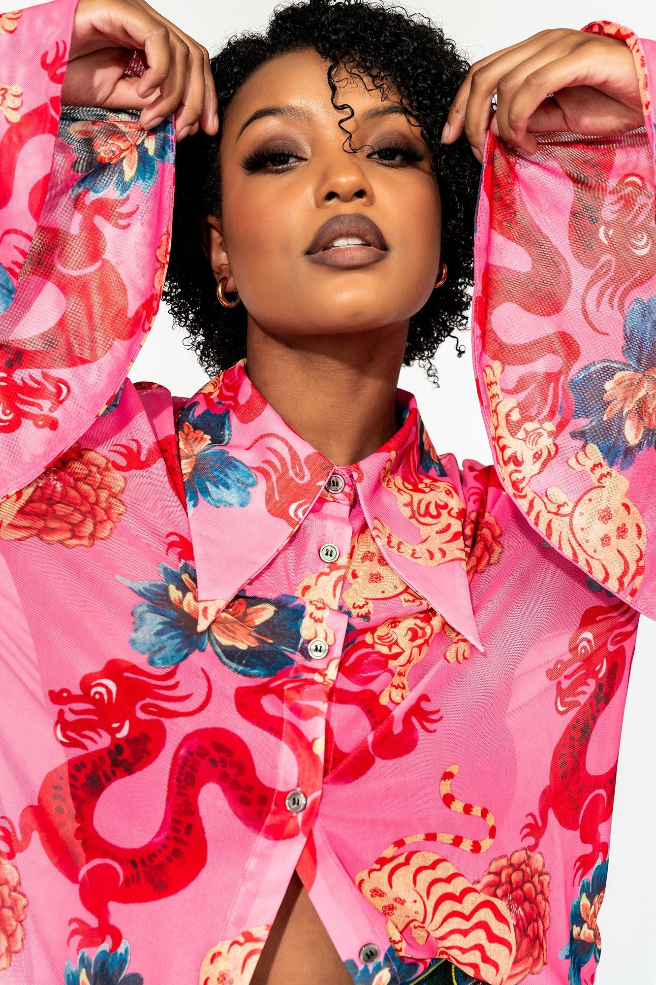 Paris For The Weekend Mesh Button Up in Year of the Dragon - Dressed in Lala