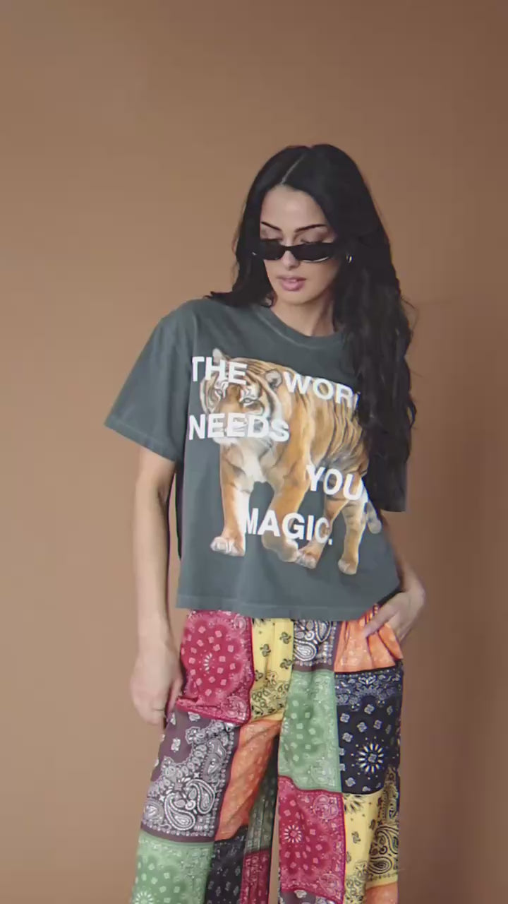 TWNYM Fierce Tiger Crop Tee in Charcoal – Dressed in Lala