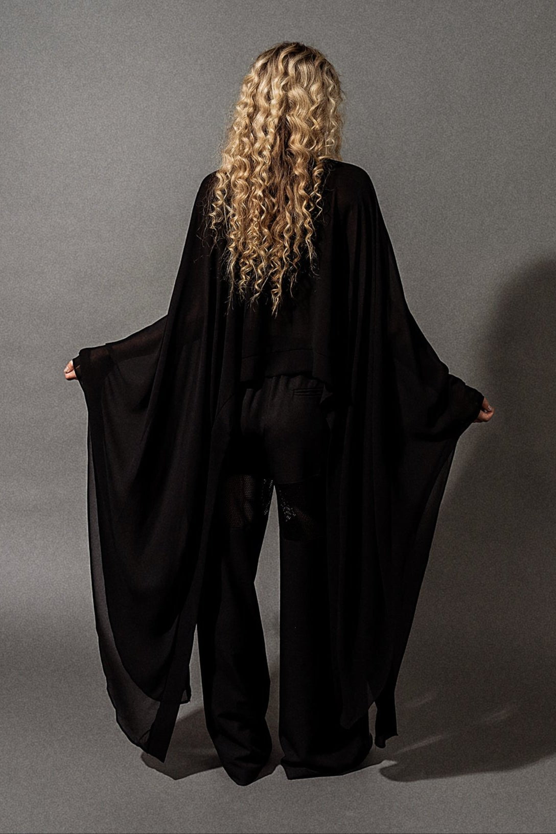 Silver Springs Sheer Top - Dressed in Lala