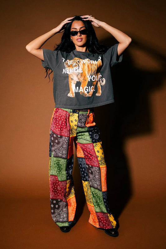 TWNYM Fierce Tiger Crop Tee in Charcoal - Dressed in Lala